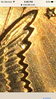 IMG_0111.PNG