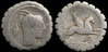 maridvnvm papia_1v_img.jpg