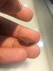 IMG_20170908_144303.jpg