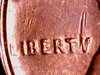 73s light L.jpg