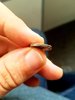 20170919_144126.jpg