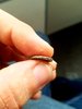 20170919_144131.jpg