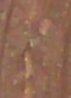 1954 close wheat error.jpg
