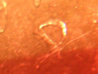 FotoFlexer_Photo.jpg