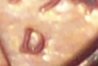 close d4.jpg