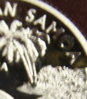 samoa ghost CROPPED 4.jpg
