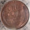 1924-D 63 PCGS R.JPG