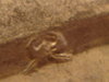 DSC00050.JPG