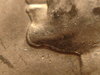 DSC00052.JPG