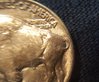20170927_095314.jpg