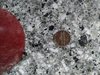 20170926_081541.jpg