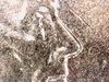 IMG_20171001_180919.jpg