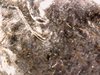 IMG_20171001_181310.jpg