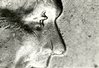 ac6363f5aef34003ffff80acffffe415.jpg