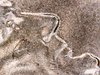 IMG_20171004_212159.jpg