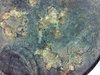 S20171005_0003.jpg