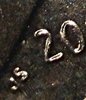20171006_191446.jpg