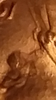 Screenshot_2017-10-08-04-11-40.png