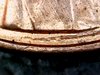 IMG_20171009_004148.jpg