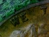 IMG_20171011_161700.jpg