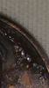 Screenshot_2017-10-12-03-07-43.png
