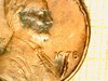 IMG_20171015_020850.jpg