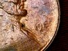 IMG_20171010_051821.jpg