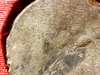 IMG_20171011_000103.jpg