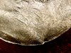 IMG_20171011_000403.jpg