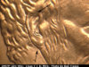 1997p1do001ma.jpg
