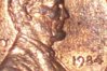 1984 dbl ear 2.jpg
