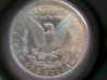 81-S PCGS rev-2.jpg