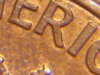 SV202945.JPG