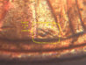 FotoFlexer_Photo.jpg