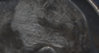 1987 above ear.jpg