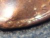 100_0250.jpg