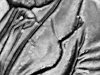 sue06.jpg