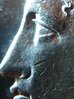 IMG_20171021_235234054_BURST000_COVER_TOP.jpg
