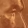 20171023_195230.jpg