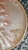 20171024_155727.jpg