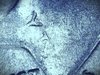 IMG_20171028_144959.jpg