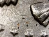 Sun Oct 29 10-54-16.jpg