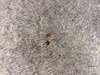 Sun Oct 29 10-55-35.jpg