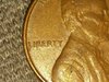 IMG_20171111_141213.jpg