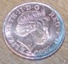pied penny head - shiny.jpg