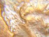 SV203047.JPG