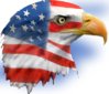 PatrioticEagle2.JPG