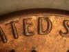 ted.jpg