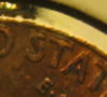 closeup1.jpg