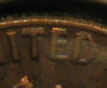 closeup2.jpg